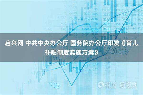 启兴网 中共中央办公厅 国务院办公厅印发《育儿补贴制度实施方案》